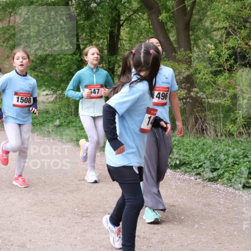 19.04.2026 - Hammer Lauf Lena Gebhardt http://msf.ph/oto/9562871 19.04.2026 09:27:57 Laufen 706, 1505, 824, 16, 1508, 547, 496, 16, 16, 1771 meine-sportfotos.de