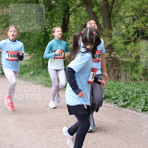 19.04.2026 - Hammer Lauf Lena Gebhardt http://msf.ph/oto/9562872 19.04.2026 09:27:57 Laufen 706, 1505, 1508, 47, 496, 16, 16, 177 meine-sportfotos.de