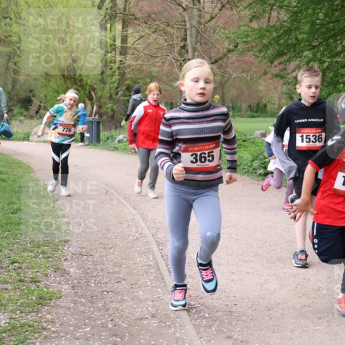 19.04.2026 - Hammer Lauf Lena Gebhardt http://msf.ph/oto/9562957 19.04.2026 09:28:50 Laufen 776, 16, 365, 16, 1536, 16, 1467 meine-sportfotos.de