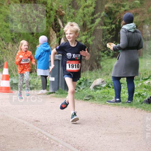 19.04.2026 - Hammer Lauf Lena Gebhardt http://msf.ph/oto/9562965 19.04.2026 09:28:54 Laufen 265, 1285, 1910 meine-sportfotos.de