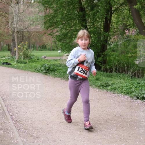 19.04.2026 - Hammer Lauf Lena Gebhardt http://msf.ph/oto/9562974 19.04.2026 09:29:02 Laufen 16, 1265 meine-sportfotos.de