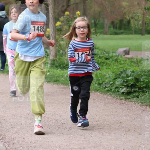 19.04.2026 - Hammer Lauf Lena Gebhardt http://msf.ph/oto/9562986 19.04.2026 09:29:09 Laufen 16, 1485, 16, 1404 meine-sportfotos.de