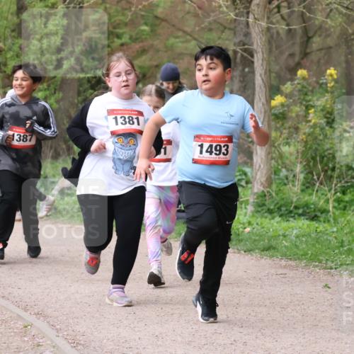 19.04.2026 - Hammer Lauf Lena Gebhardt http://msf.ph/oto/9563012 19.04.2026 09:29:31 Laufen 1516, 1387, 16, 1381, 16, 1493 meine-sportfotos.de