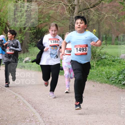 19.04.2026 - Hammer Lauf Lena Gebhardt http://msf.ph/oto/9563014 19.04.2026 09:29:32 Laufen 16, 1387, 16, 1381, 16, 186, 1493 meine-sportfotos.de