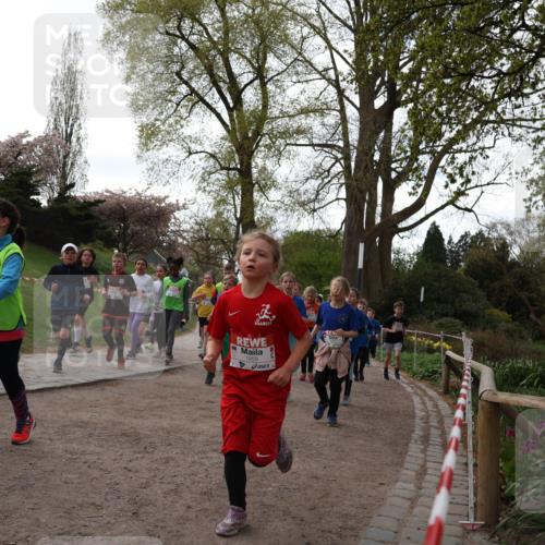 25.04.2026 - Das Zehntel Zöllner http://msf.ph/oto/9582157 25.04.2026 08:43:56 Laufen 1959 meine-sportfotos.de