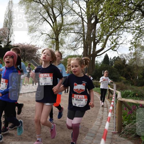 25.04.2026 - Das Zehntel Zöllner http://msf.ph/oto/9582564 25.04.2026 08:46:47 Laufen 1958, 1950 meine-sportfotos.de