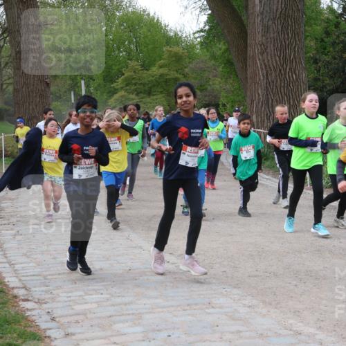 25.04.2026 - Das Zehntel Zöllner http://msf.ph/oto/9592606 25.04.2026 08:43:42 Laufen 1951 meine-sportfotos.de