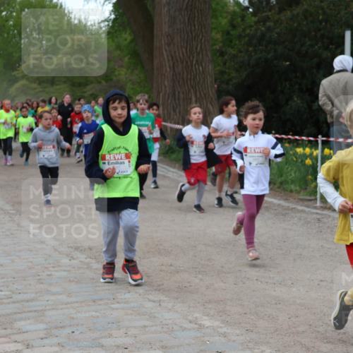 25.04.2026 - Das Zehntel Zöllner http://msf.ph/oto/9592926 25.04.2026 08:44:47 Laufen 1970 meine-sportfotos.de