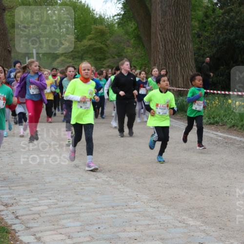25.04.2026 - Das Zehntel Zöllner http://msf.ph/oto/9592951 25.04.2026 08:44:52 Laufen 2580 meine-sportfotos.de
