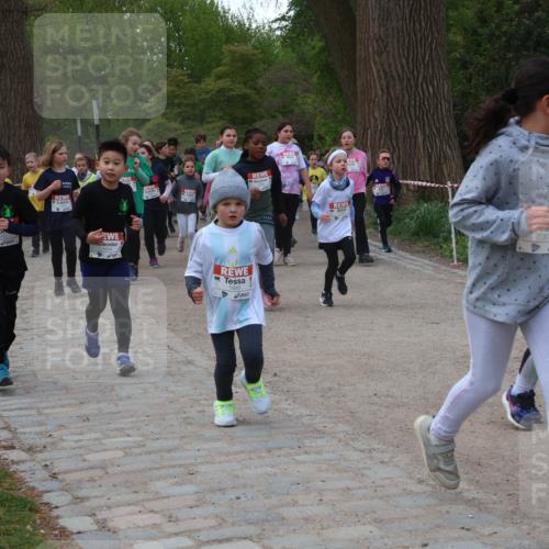25.04.2026 - Das Zehntel Zöllner http://msf.ph/oto/9593065 25.04.2026 08:45:15 Laufen 1945, 3787, 1864 meine-sportfotos.de