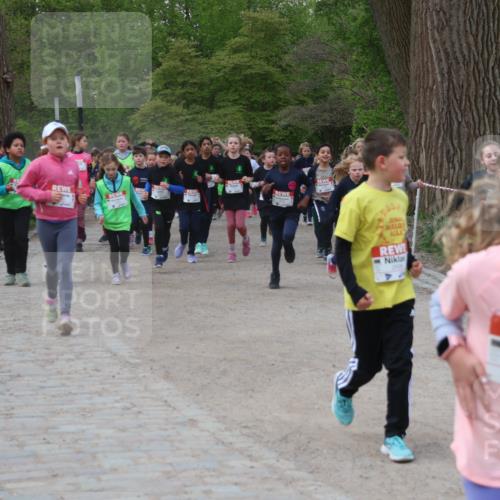 25.04.2026 - Das Zehntel Zöllner http://msf.ph/oto/9593255 25.04.2026 08:46:00 Laufen 2271 meine-sportfotos.de