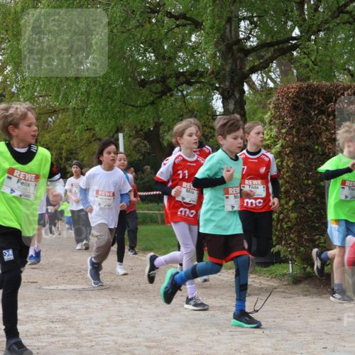 25.04.2026 - Das Zehntel Zöllner http://msf.ph/oto/9606381 25.04.2026 09:42:10 Laufen 7879, 6019, 11 meine-sportfotos.de