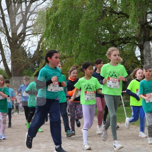 25.04.2026 - Das Zehntel Zöllner http://msf.ph/oto/9606657 25.04.2026 09:42:20 Laufen 7895, 7311 meine-sportfotos.de