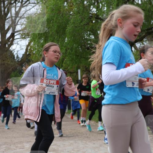 25.04.2026 - Das Zehntel Zöllner http://msf.ph/oto/9606747 25.04.2026 09:42:24 Laufen 6920 meine-sportfotos.de