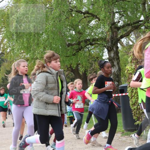 25.04.2026 - Das Zehntel Zöllner http://msf.ph/oto/9606891 25.04.2026 09:42:31 Laufen 6098 meine-sportfotos.de