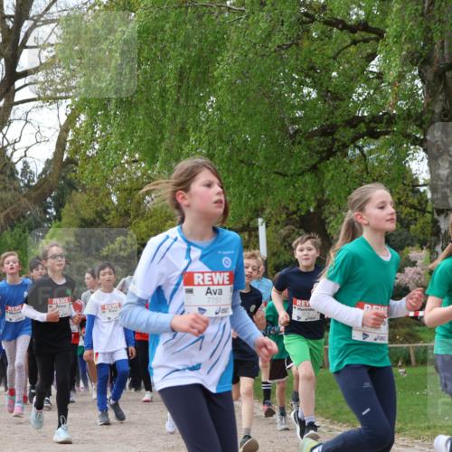 25.04.2026 - Das Zehntel Zöllner http://msf.ph/oto/9607105 25.04.2026 09:42:43 Laufen 7751, 7948 meine-sportfotos.de