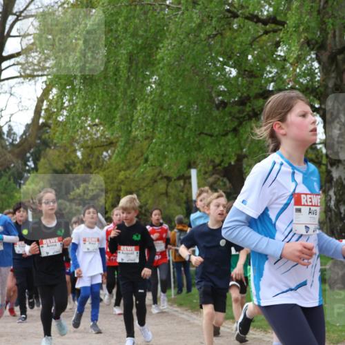 25.04.2026 - Das Zehntel Zöllner http://msf.ph/oto/9607119 25.04.2026 09:42:43 Laufen 7751 meine-sportfotos.de