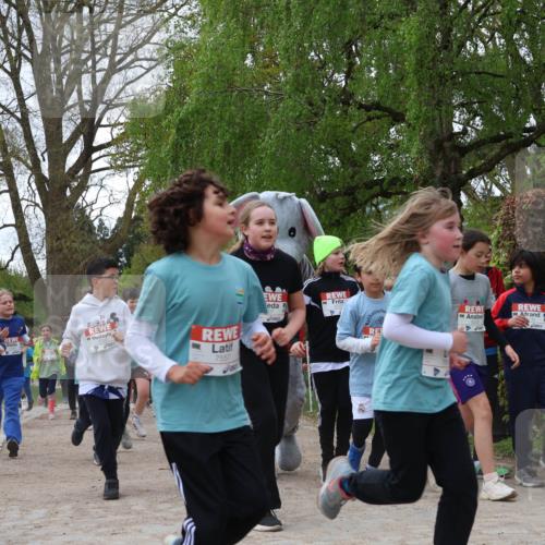 25.04.2026 - Das Zehntel Zöllner http://msf.ph/oto/9607329 25.04.2026 09:42:52 Laufen 755, 7240, 7557 meine-sportfotos.de