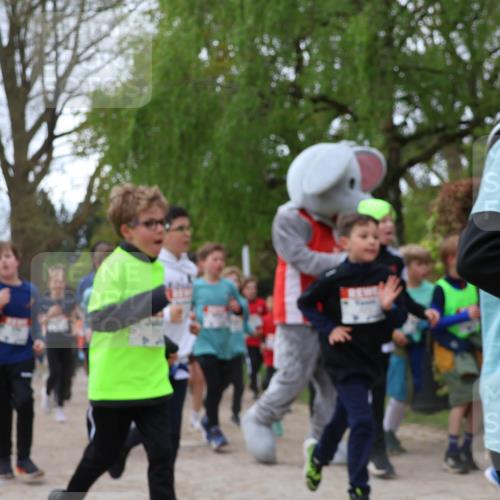 25.04.2026 - Das Zehntel Zöllner http://msf.ph/oto/9607372 25.04.2026 09:42:53 Laufen  meine-sportfotos.de