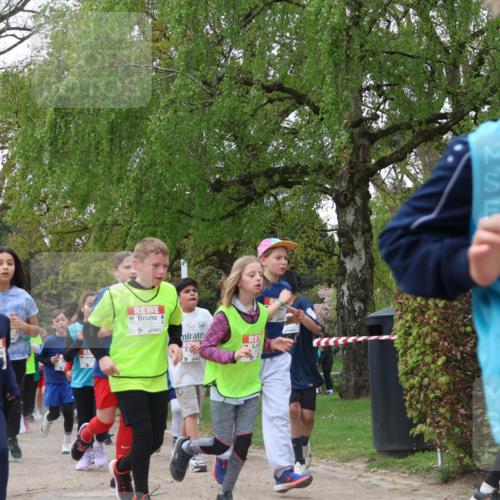25.04.2026 - Das Zehntel Zöllner http://msf.ph/oto/9608606 25.04.2026 09:43:49 Laufen 581 meine-sportfotos.de
