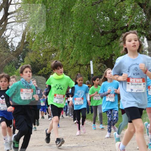 25.04.2026 - Das Zehntel Zöllner http://msf.ph/oto/9609244 25.04.2026 09:44:21 Laufen 8000, 7838, 6418, 6901 meine-sportfotos.de