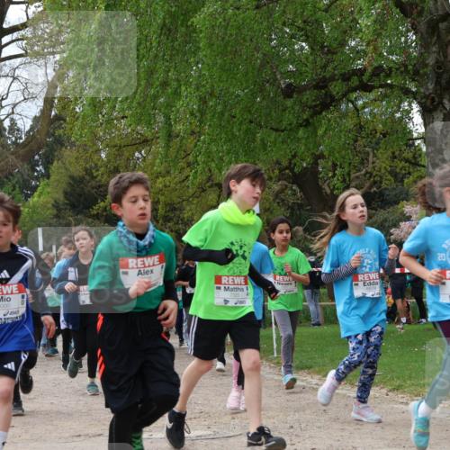 25.04.2026 - Das Zehntel Zöllner http://msf.ph/oto/9609249 25.04.2026 09:44:21 Laufen 8000, 90, 20, 7326, 6877, 6418 meine-sportfotos.de