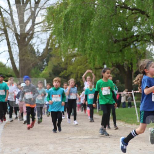 25.04.2026 - Das Zehntel Zöllner http://msf.ph/oto/9610394 25.04.2026 09:45:23 Laufen  meine-sportfotos.de