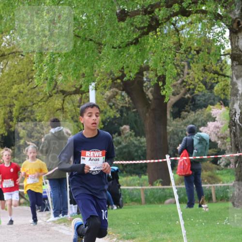 25.04.2026 - Das Zehntel Zöllner http://msf.ph/oto/9621597 25.04.2026 11:39:20 Laufen 10559, 10 meine-sportfotos.de