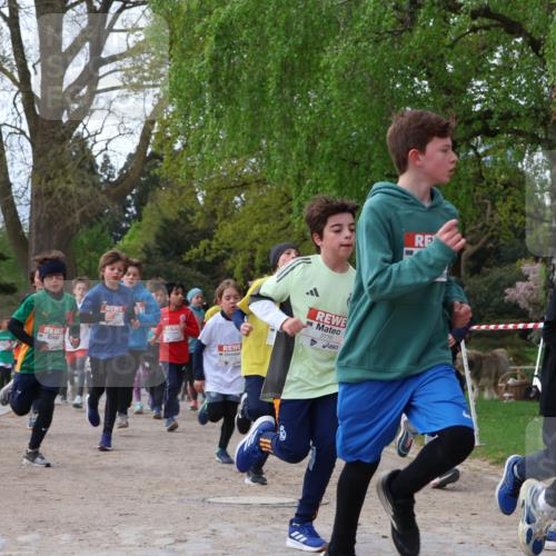 25.04.2026 - Das Zehntel Zöllner http://msf.ph/oto/9621632 25.04.2026 07:40:12 Laufen 3116 meine-sportfotos.de