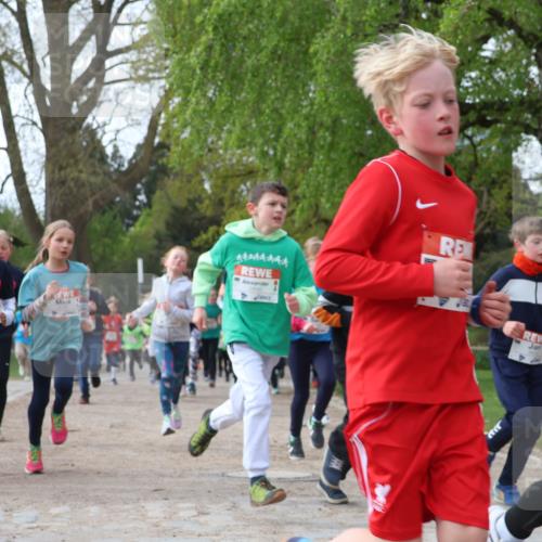 25.04.2026 - Das Zehntel Zöllner http://msf.ph/oto/9622225 25.04.2026 07:40:53 Laufen 3000, 44444444 meine-sportfotos.de