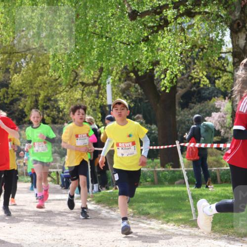 25.04.2026 - Das Zehntel Zöllner http://msf.ph/oto/9622500 25.04.2026 11:39:39 Laufen 1 meine-sportfotos.de