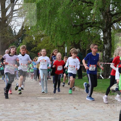 25.04.2026 - Das Zehntel Zöllner http://msf.ph/oto/9623286 25.04.2026 07:42:04 Laufen 3306 meine-sportfotos.de