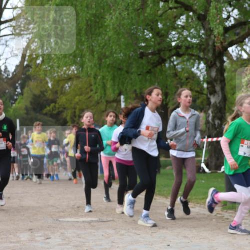 25.04.2026 - Das Zehntel Zöllner http://msf.ph/oto/9624028 25.04.2026 07:42:52 Laufen  meine-sportfotos.de