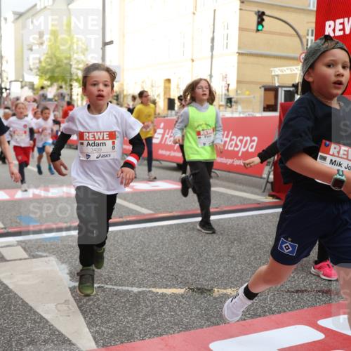 25.04.2026 - Das Zehntel Strokosch-Dieckow http://msf.ph/oto/9624524 25.04.2026 08:57:14 Ziel 1141, 1152, 1170, 1262, 1561, 1583, 1590, 1691, 1713, 1854, 2233, 2237, 2239, 2270, 2292, 2294, 2491, 2778, 2858, 2860, 3048, 3052, 3073, 3393, 3439, 3453, 3495, 3552, 3688, 3930 meine-sportfotos.de