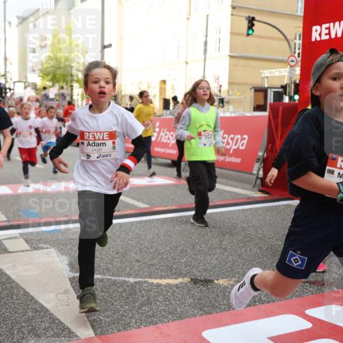 25.04.2026 - Das Zehntel Strokosch-Dieckow http://msf.ph/oto/9624531 25.04.2026 08:57:14 Ziel 1141, 1152, 1170, 1262, 1561, 1583, 1590, 1691, 1713, 1854, 2233, 2237, 2239, 2270, 2292, 2294, 2491, 2778, 2858, 2860, 3048, 3052, 3073, 3393, 3439, 3453, 3495, 3552, 3688, 3930 meine-sportfotos.de