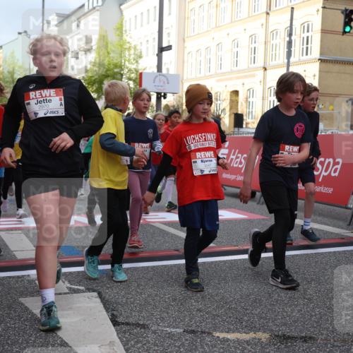 25.04.2026 - Das Zehntel Strokosch-Dieckow http://msf.ph/oto/9625106 25.04.2026 08:57:36 Ziel 1280, 1299, 1318, 1563, 2076, 2393, 2429, 2435, 2512, 2522, 2537, 2563, 2629, 2651, 2674, 2799, 2802, 2816, 2970, 2979, 3029, 3047, 3068, 3122, 3274, 3556, 3558, 3566, 3577, 4071 meine-sportfotos.de