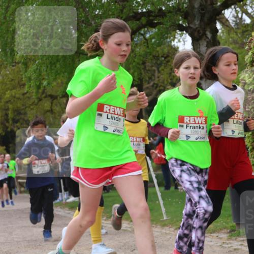 25.04.2026 - Das Zehntel Zöllner http://msf.ph/oto/9627056 25.04.2026 11:41:09 Laufen 12278, 12805, 11790, 12801, 11511, 250 meine-sportfotos.de