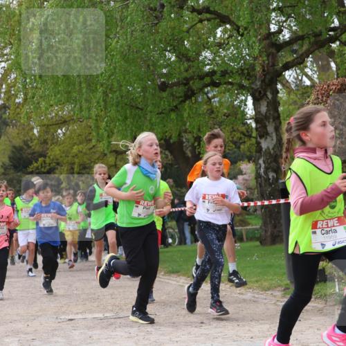 25.04.2026 - Das Zehntel Zöllner http://msf.ph/oto/9627619 25.04.2026 11:41:18 Laufen 1949, 11959, 1949, 11975 meine-sportfotos.de