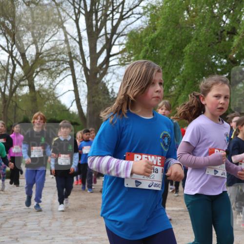 25.04.2026 - Das Zehntel Zöllner http://msf.ph/oto/9627753 25.04.2026 07:46:24 Laufen 222, 2919 meine-sportfotos.de