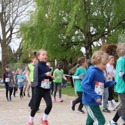 25.04.2026 - Das Zehntel Zöllner http://msf.ph/oto/9628093 25.04.2026 07:46:32 Laufen 5, 1083 meine-sportfotos.de