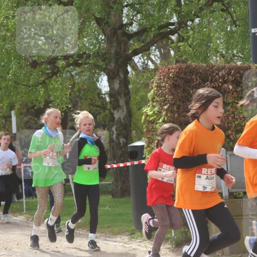 25.04.2026 - Das Zehntel Zöllner http://msf.ph/oto/9628112 25.04.2026 11:41:30 Laufen 12184, 1245 meine-sportfotos.de