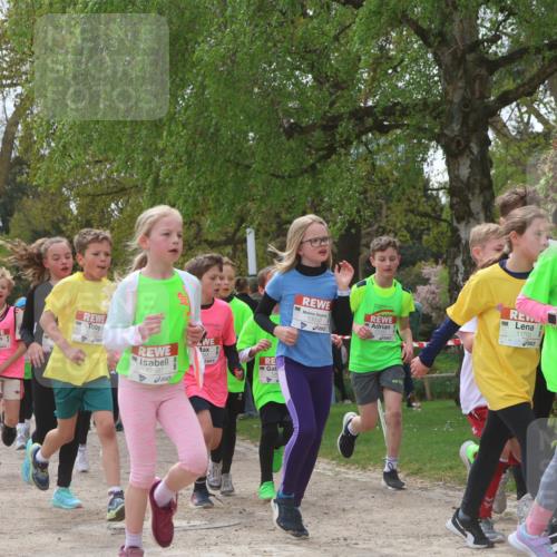 25.04.2026 - Das Zehntel Zöllner http://msf.ph/oto/9628239 25.04.2026 11:41:32 Laufen 12683, 12319, 12687, 983, 13032, 11793, 2693 meine-sportfotos.de