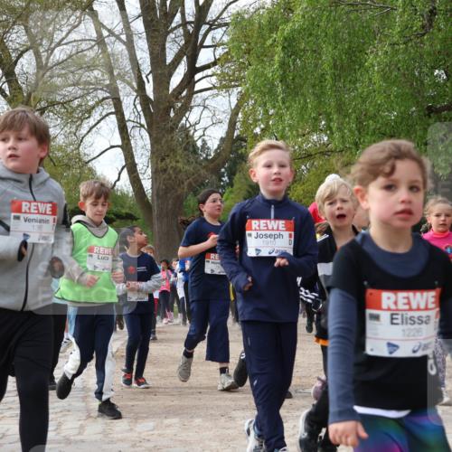 25.04.2026 - Das Zehntel Zöllner http://msf.ph/oto/9628768 25.04.2026 07:46:49 Laufen 1390, 1910, 1226 meine-sportfotos.de