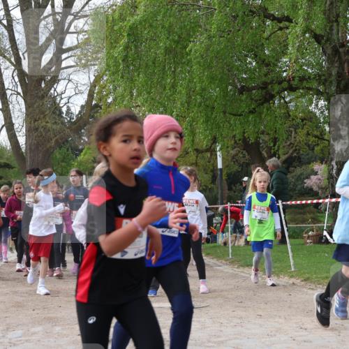 25.04.2026 - Das Zehntel Zöllner http://msf.ph/oto/9629392 25.04.2026 07:47:08 Laufen 91 meine-sportfotos.de