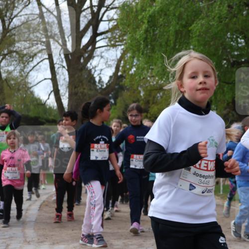 25.04.2026 - Das Zehntel Zöllner http://msf.ph/oto/9629563 25.04.2026 07:47:12 Laufen 3448, 28 meine-sportfotos.de