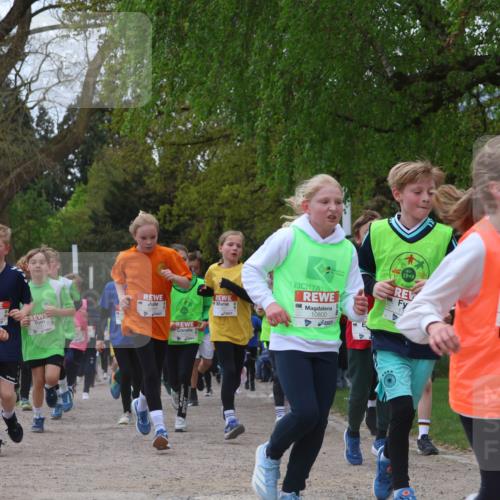 25.04.2026 - Das Zehntel Zöllner http://msf.ph/oto/9657008 25.04.2026 11:42:23 Laufen 12115, 10800, 1949, 11, 12965, 50 meine-sportfotos.de