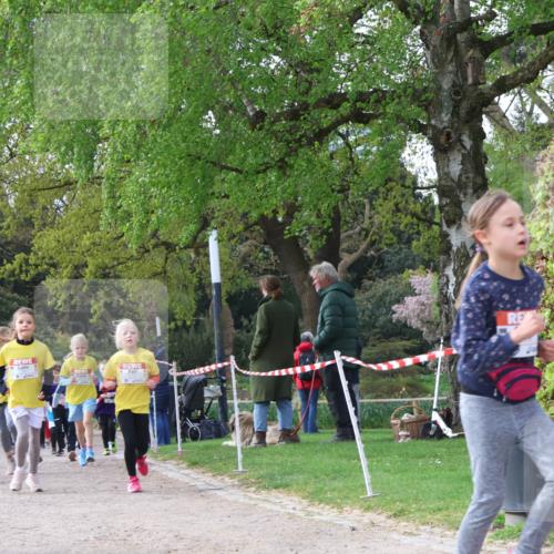 25.04.2026 - Das Zehntel Zöllner http://msf.ph/oto/9657181 25.04.2026 07:47:43 Laufen 3896 meine-sportfotos.de