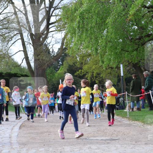 25.04.2026 - Das Zehntel Zöllner http://msf.ph/oto/9657205 25.04.2026 07:47:44 Laufen 3896, 2515 meine-sportfotos.de