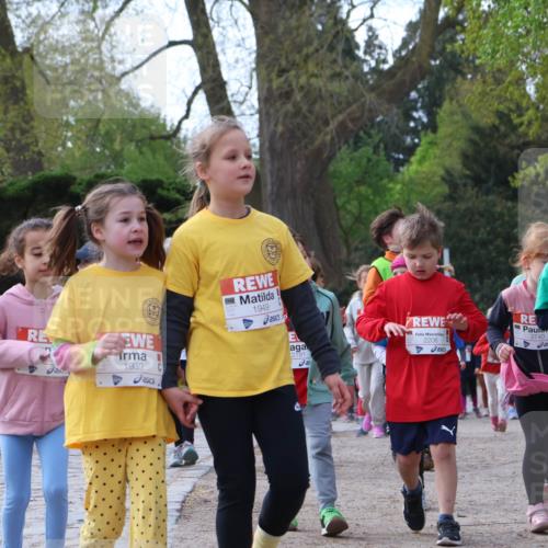 25.04.2026 - Das Zehntel Zöllner http://msf.ph/oto/9657361 25.04.2026 07:47:50 Laufen 1939, 1949, 2191, 2206, 2431, 3740 meine-sportfotos.de