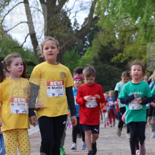 25.04.2026 - Das Zehntel Zöllner http://msf.ph/oto/9657379 25.04.2026 07:47:50 Laufen 1939, 1949, 40, 2439 meine-sportfotos.de